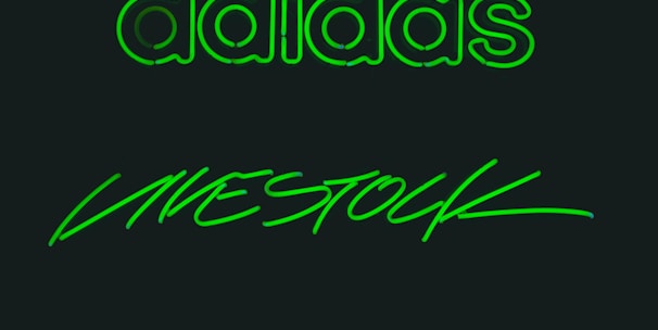 Three brand names are displayed in glowing green text against a dark background. The words are 'adidas', 'LIVESTOCK', and 'ARC'TERYX', each written in distinct styles.